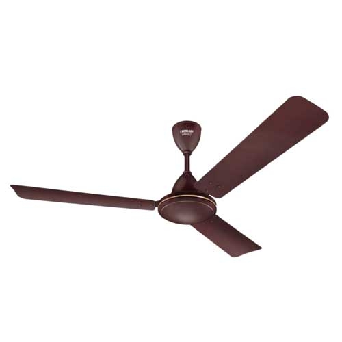 Eveready 1200 VANILO Brown Ceiling Fan