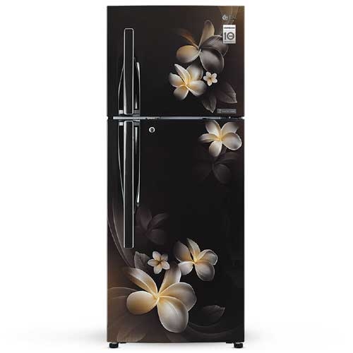 LG 284 Liter No-Frost Refrigerator Hazel Plumeria