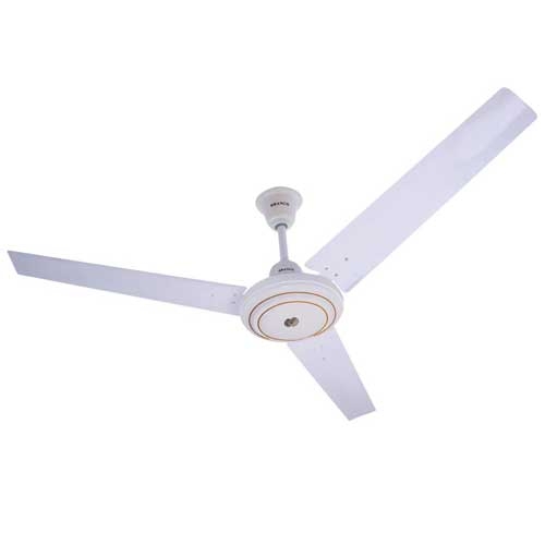 Rangs Jhilik Smart 56