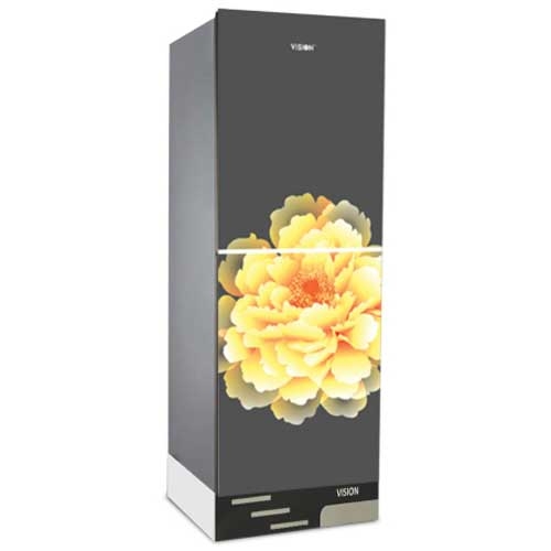 Vision GD Refrigerator RE-252L Mirror Blooming FL-BM