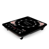 Vision Induction Cooker VSN-1206