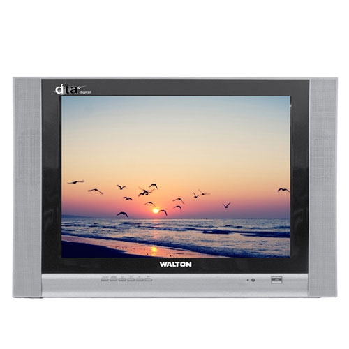 Walton W1438 TV
