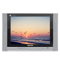 Walton W1438 TV