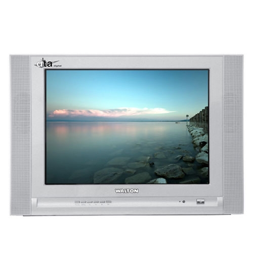 Walton W1448 TV