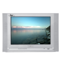 Walton W1448 TV
