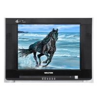 Walton W1496 TV