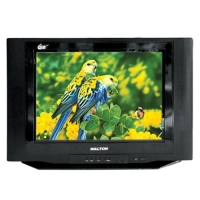 Walton WDF21R TV