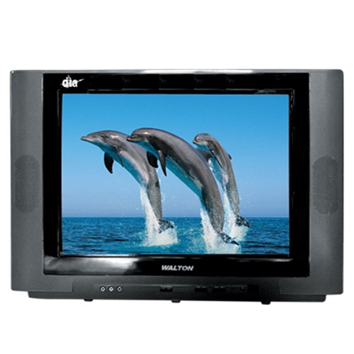 Walton WDF21S TV