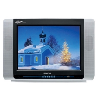 Walton WF21U10A TV
