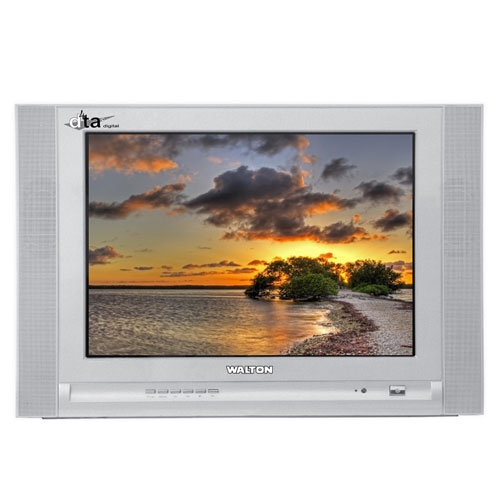 Walton WT2148 TV