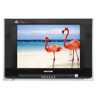 Walton WT2196 TV